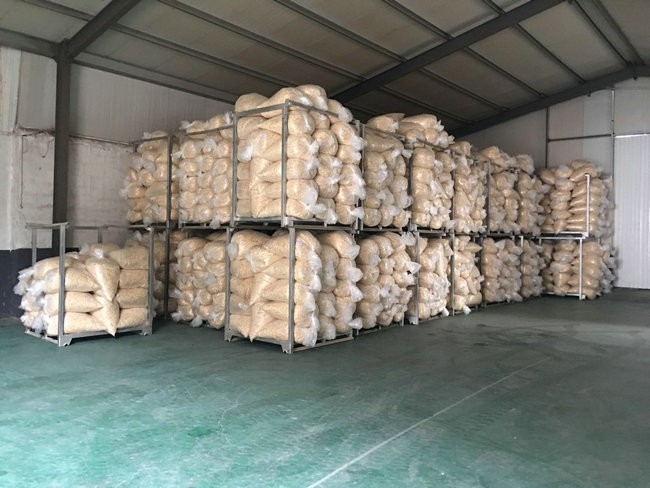 Company Warehouse